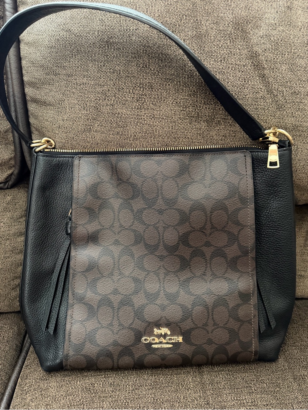 Coach Black & Brown bag